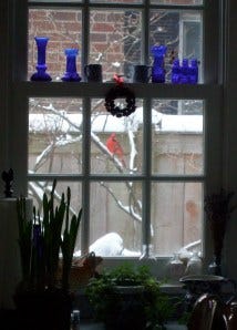 out my window
