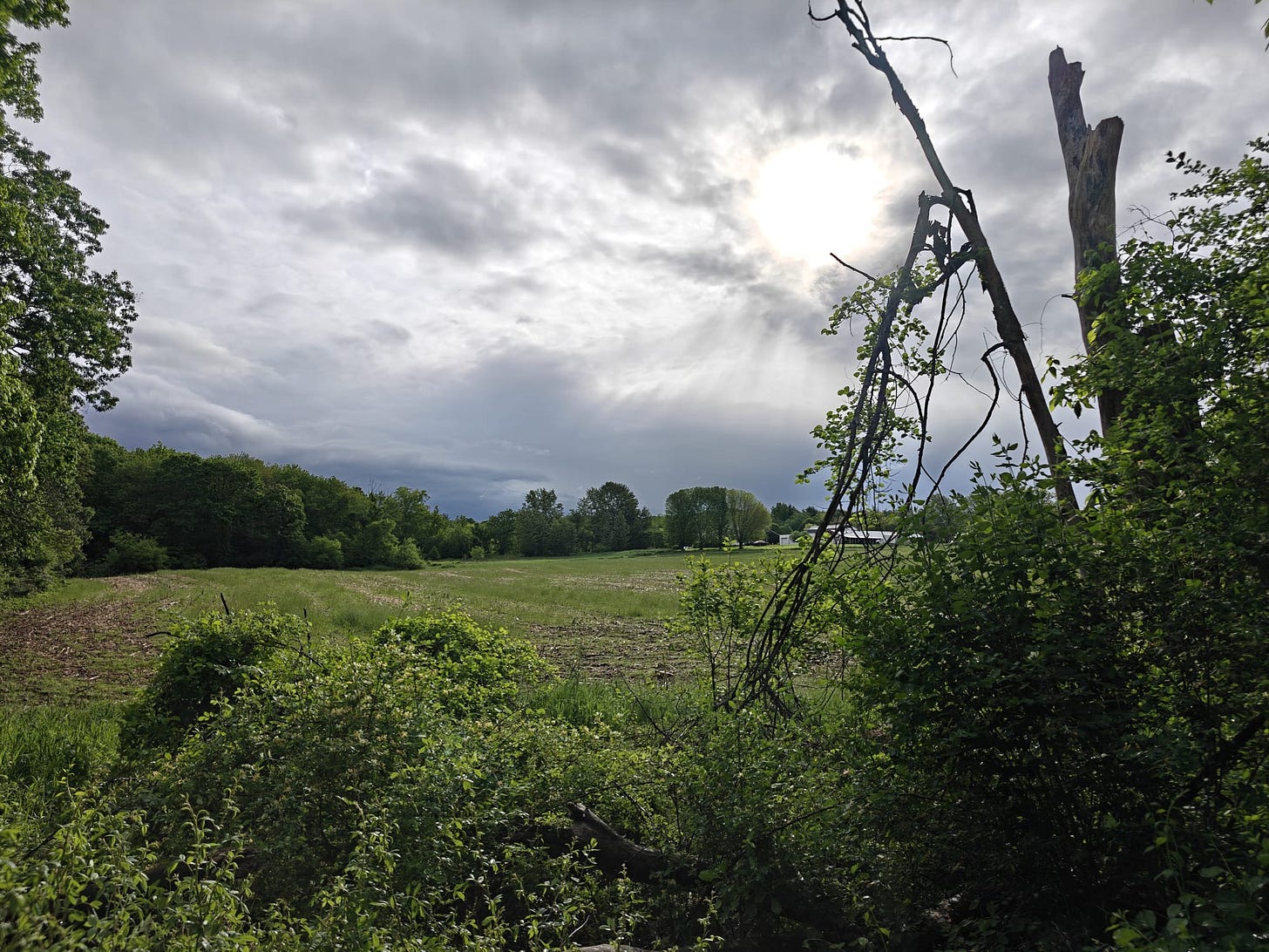 A Trek Along the Cocheco Railroad
