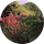 Odes from Avalonia