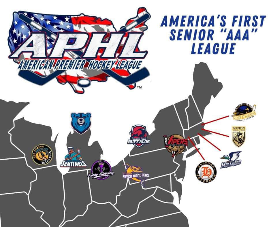 May be an image of hockey and text