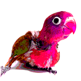 2. The Genesis of Intelligences: Good, bad and weird