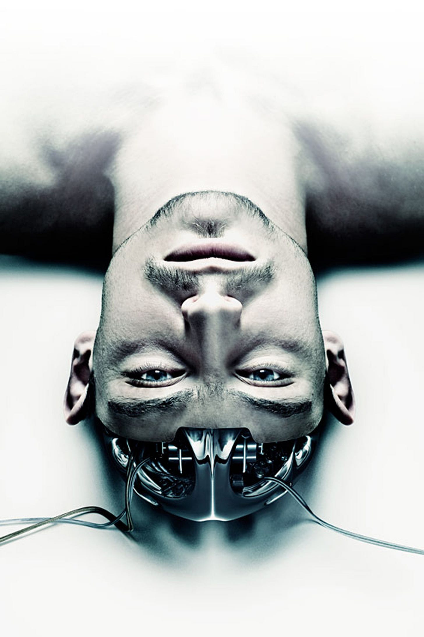 Wired Brain / Benedict Campbell - Projects - Debut Art