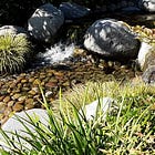 Your mind is a garden