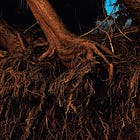 The Disembedding of the Gift