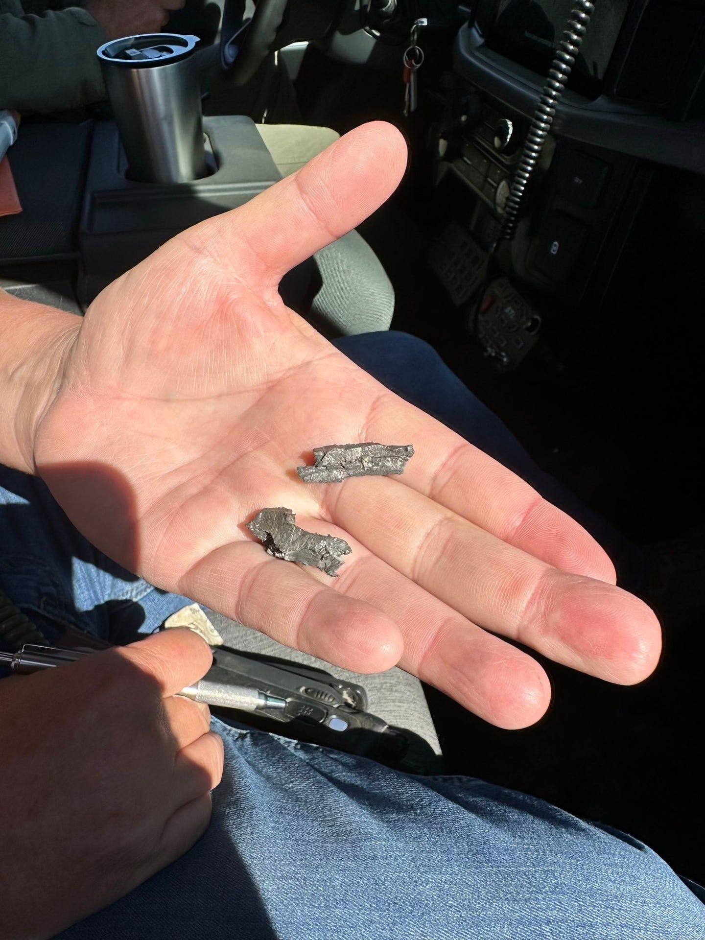 May be an image of bandage, scraper and text