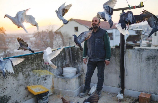 Bird man in Turkiye vows to tend to flock after quake｜Arab News Japan