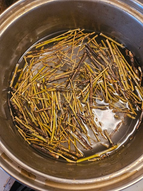 preparing willow branches for dying cloth