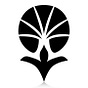 Silk Road Intl' Film Festival's avatar