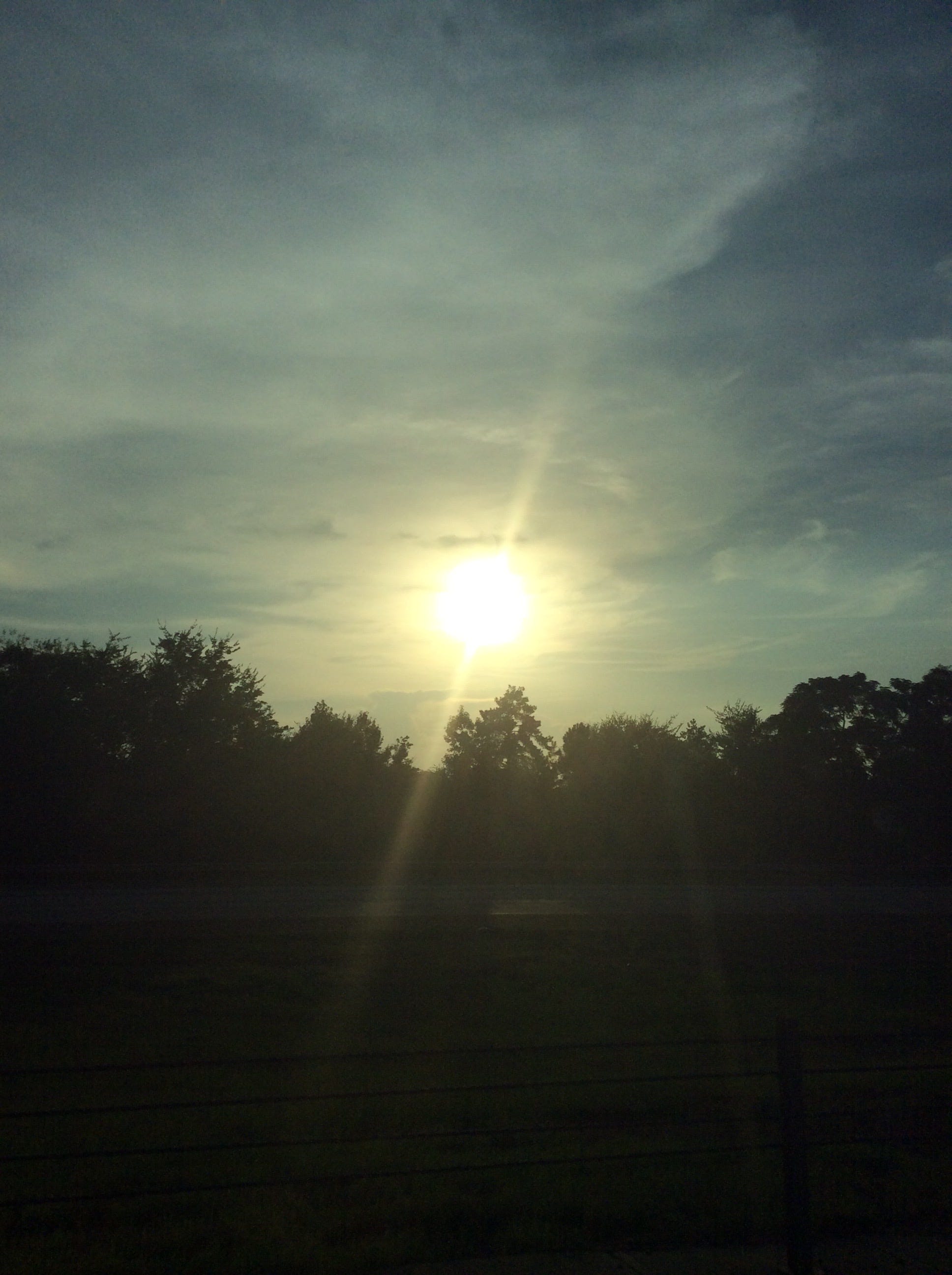 Sally Anne’s Substack