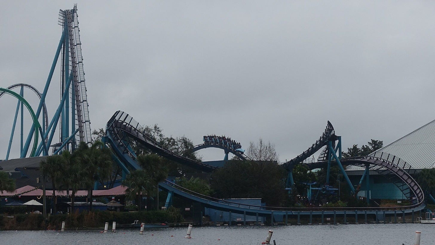 Mako at SeaWorld Orlando in 2023. Image: Jeremy Thompson via Wikimedia Commons