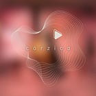 Pájaros del mismo árbol