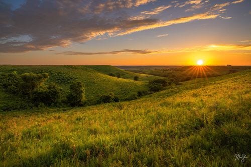 Great Plains Photography: Bluebonnets on the prairie