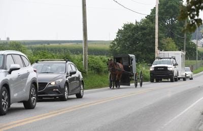 Horse and Buggies 0005.JPG