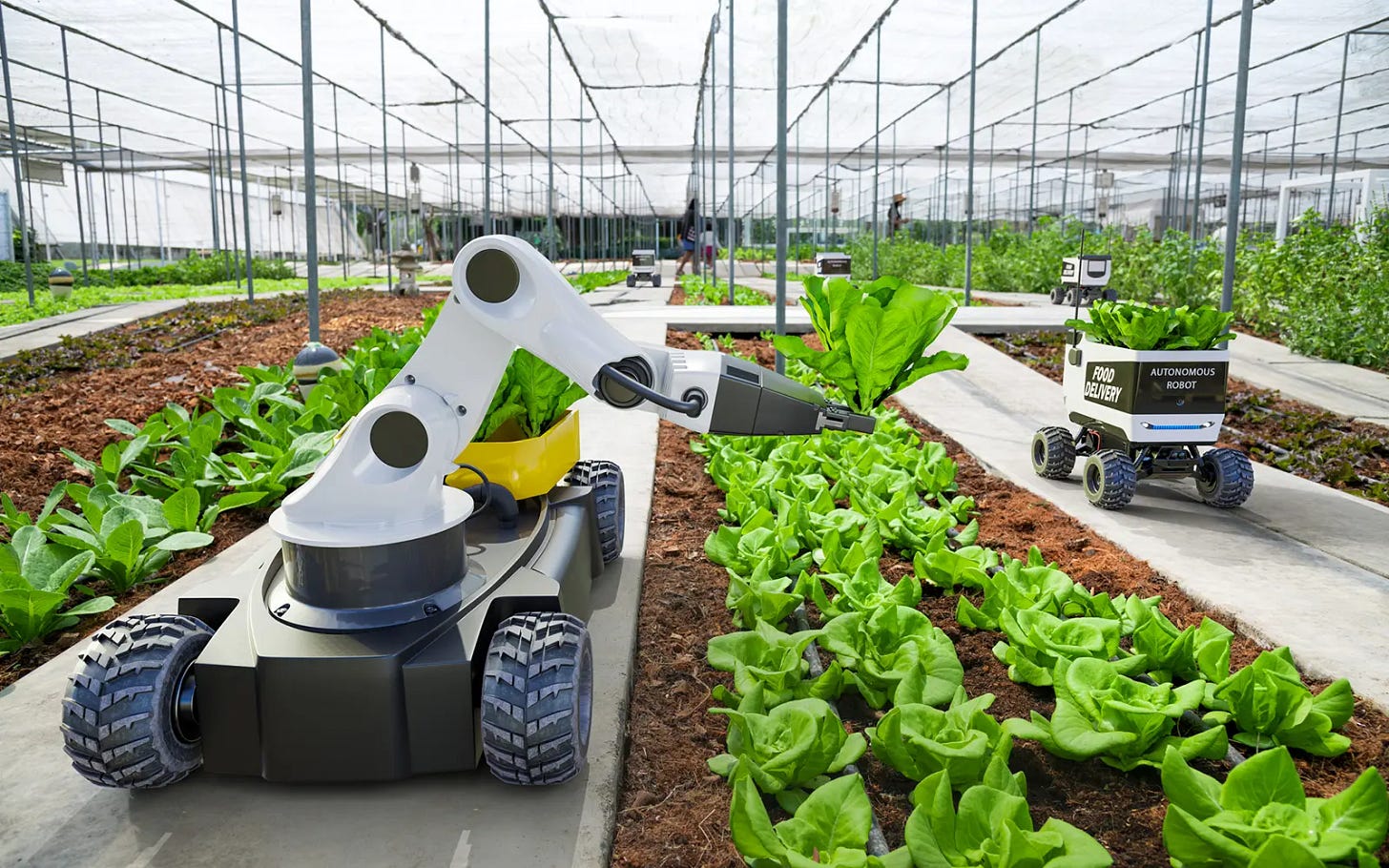The Ultimate Agtech Glossary: 100 Key Terms to Know - Felix Instruments