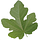 Paleoprogressivism