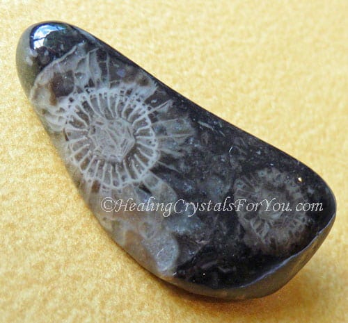 Tumbled Vatican Stone