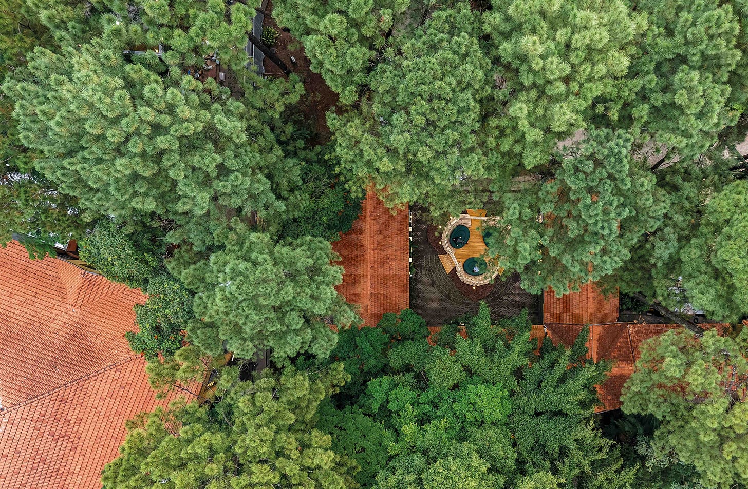 Atelier Marko Brajovic - Ninho. Projeto da CASACOR São Paulo 2025. Atelier Marko Brajovic - Ninho. Projeto da CASACOR São Paulo 2025.