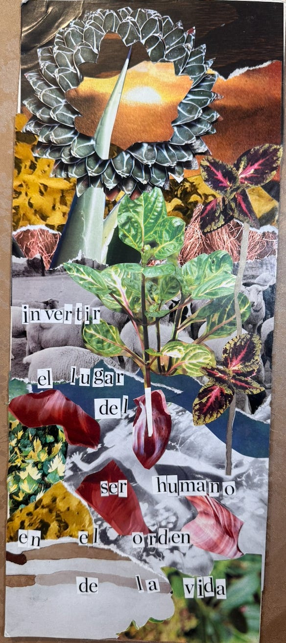 El futuro como posibilidad, desde las plantas y la composta