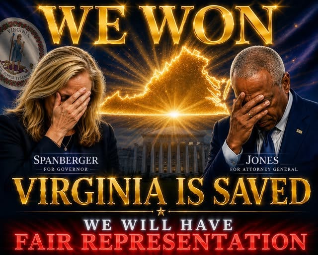 What the Virginia Gerrymander Decision is Really About and Why We All Should Care