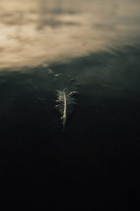 Fuji photographs of life by Tyler Knott Gregson