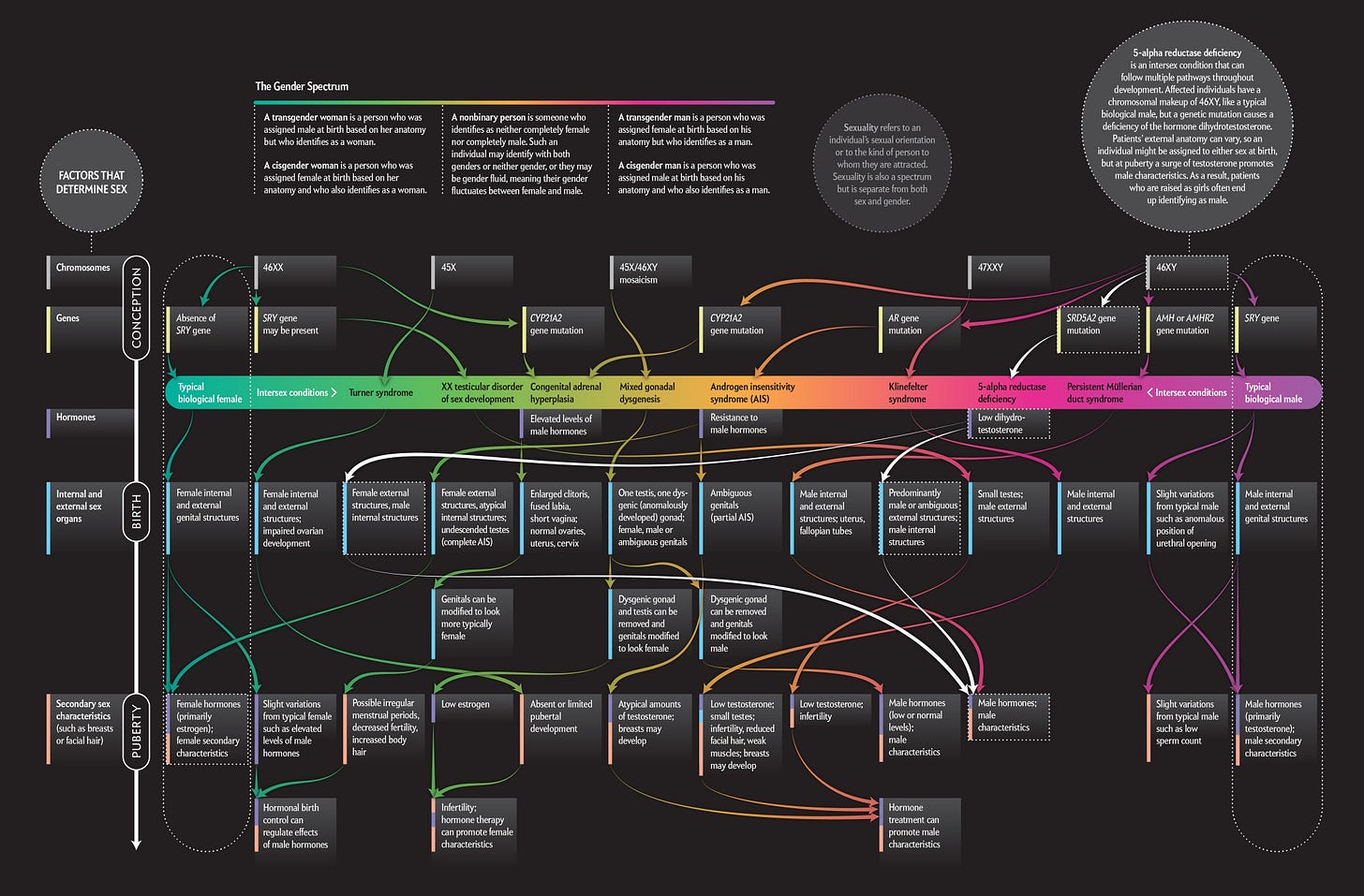Beyond XX and XY: The Extraordinary Complexity of Sex Determination | Scientific  American