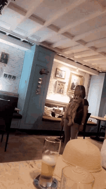 Cat Glasses GIF - Cat Glasses BabyCarrier GIFs Cat Glasses GIF - Cat Glasses BabyCarrier GIFs