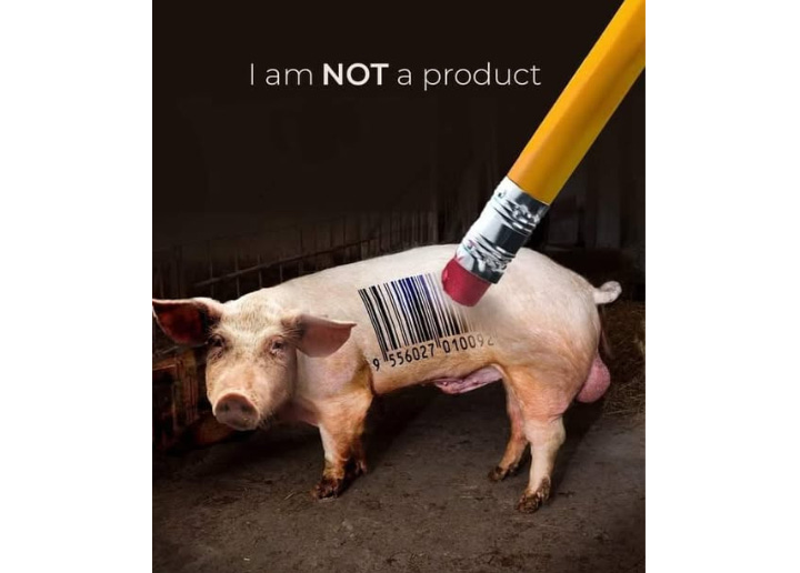 Animals are not commodities. They are not barcodes, products, or property. They are individuals who deserve life and freedom. Choose compassion. Choose vegan. 🌱🐷 #NotYourProduct