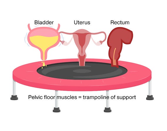 Urinary Incontinence Rebounder Pelvic Floor Is Jumping On A Trampoline Good  For Your Pelvic Floor?