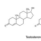 Strong Bodies, Strong Minds Part 1 - Testosterone