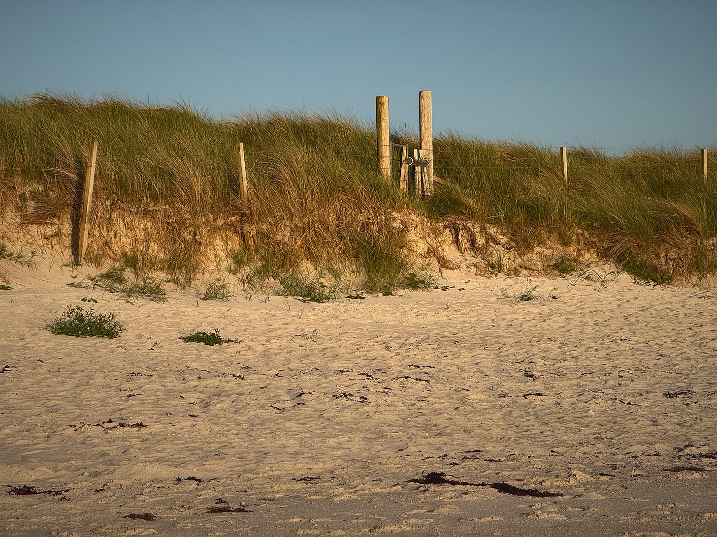 Beach mood