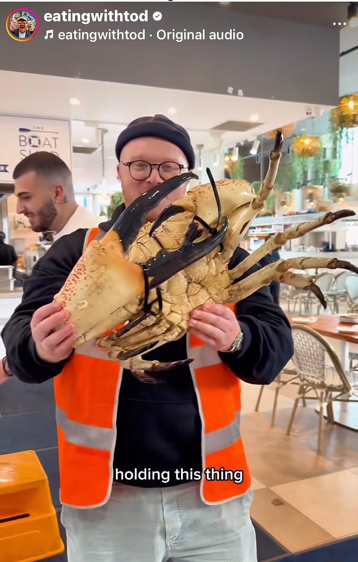 Cheers all around - the crab will be deep fried alive