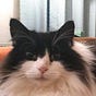 Ellen Highwater's avatar