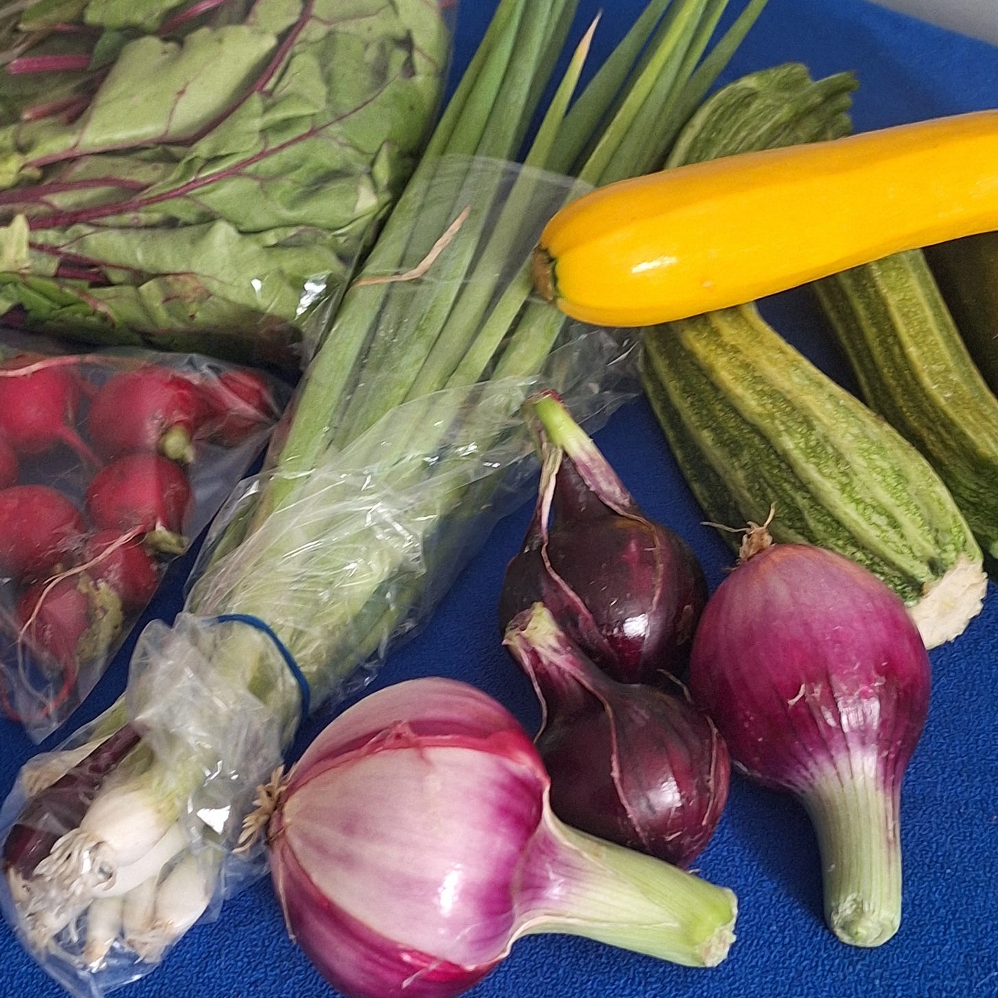 A harvest of zucchini, summer squash, beet greens, peppers, and herbs from Runamuk Acres, ready for CSA pickup.