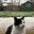 Harry Shrimpton's avatar