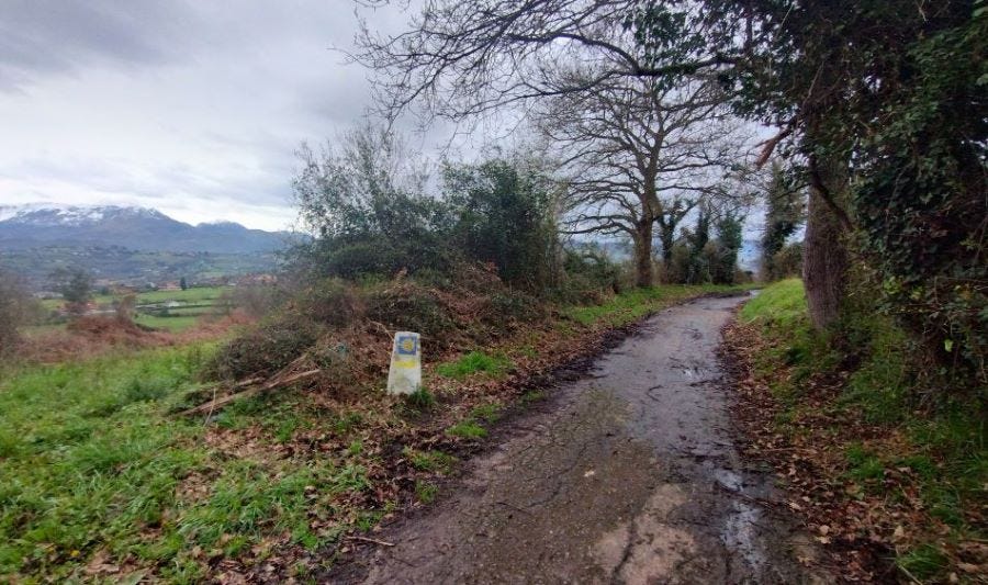 Camino asfaltado que lleva a Llampaxga