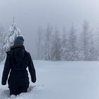 A Snowy Clean Slate