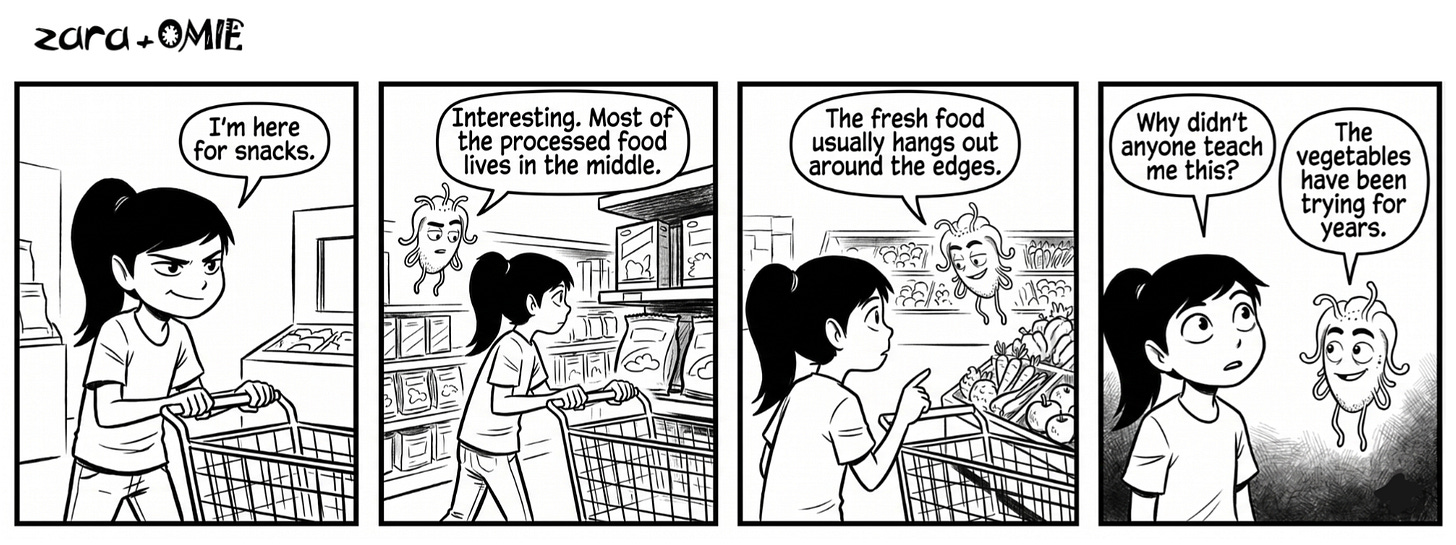 While shopping for snacks, Zara learns that fresh foods usually hang out around the edges of the store.