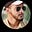 Mohd Iqbal's avatar