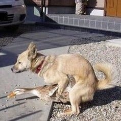 Reverent Merrick’s Oracle of Righteous Indignation.