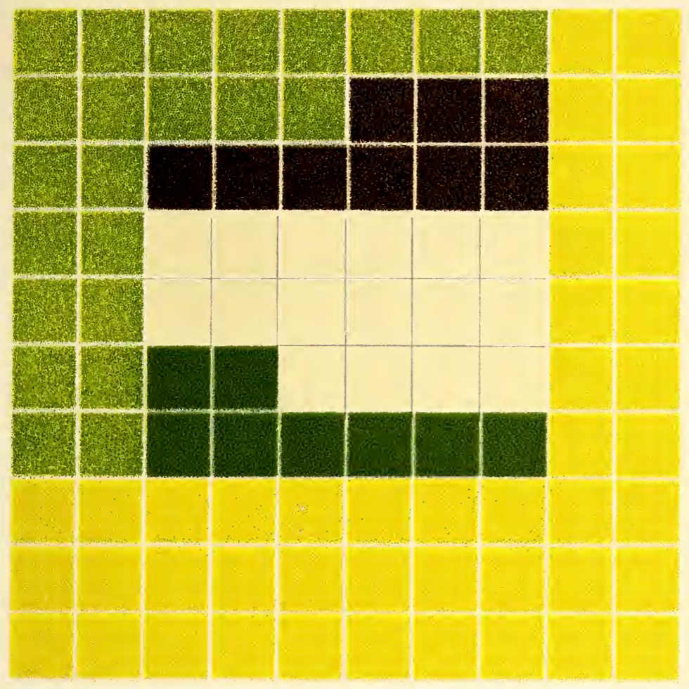 A gridded drawing similar to a tiled surface, with blocks of colors rendered in colored pencil. There are areas of grass green, pine green, very dark brown, bright lemon yellow, and cream. The image is a color analysis chart by Emily Noyes Vanderpoel, an illustration from her 1903 book Color Problems. A gridded drawing similar to a tiled surface, with blocks of colors rendered in colored pencil. There are areas of grass green, pine green, very dark brown, bright lemon yellow, and cream. The image is a color analysis chart by Emily Noyes Vanderpoel, an illustration from her 1903 book Color Problems.