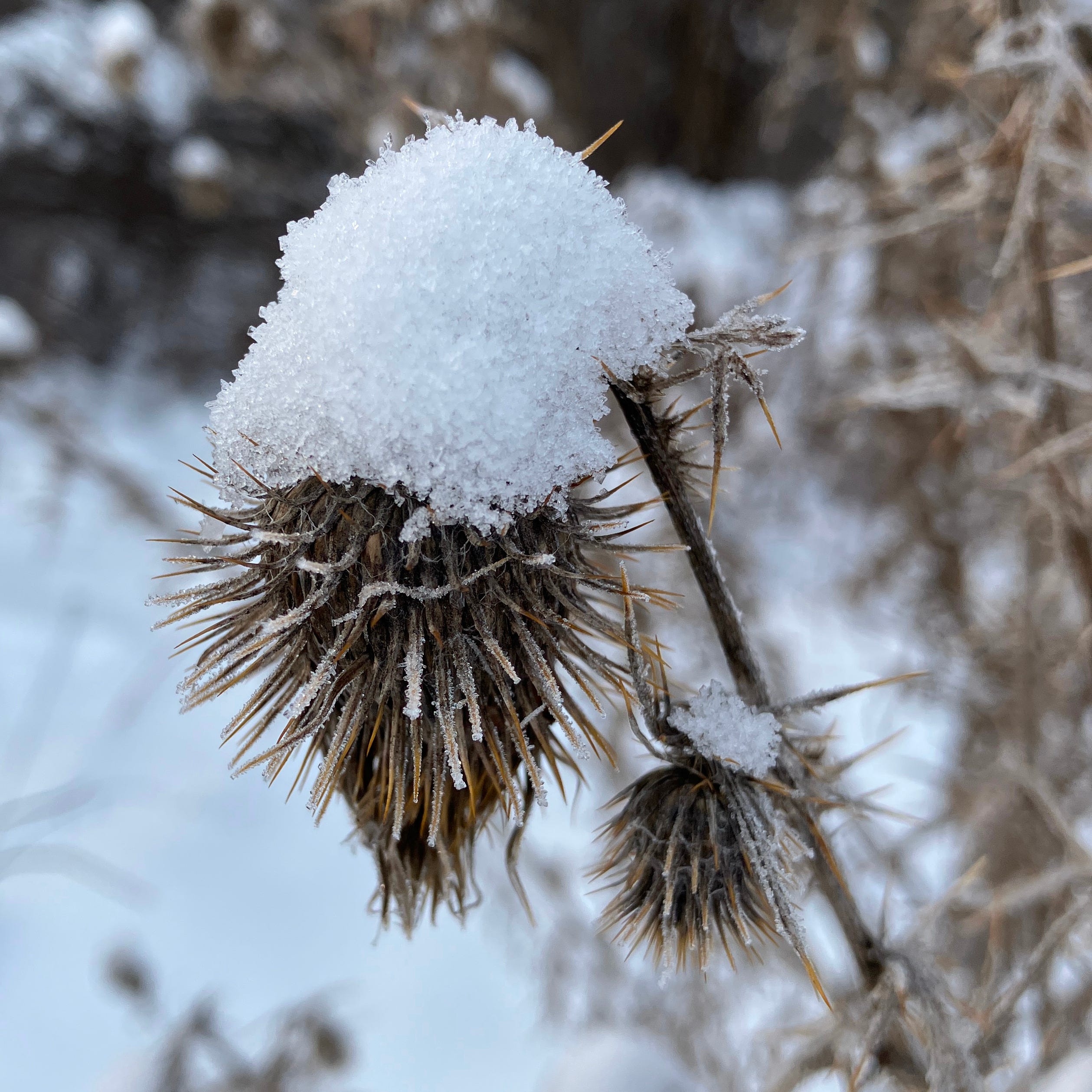 Rant Against The Machine Substack