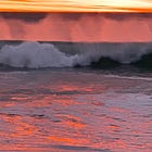 Social opportunity cost vs. social rate of time preference [part 1/2]🍋