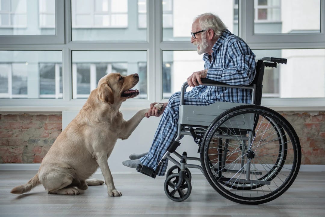 The Incredible Benefits of Therapy Dogs for Seniors The Incredible Benefits of Therapy Dogs for Seniors