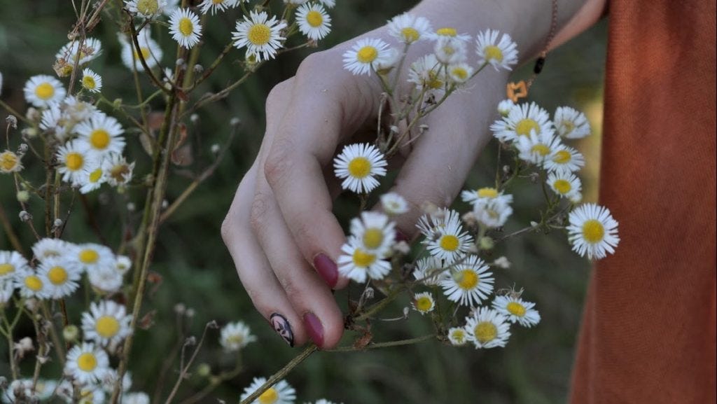 Químicos orgánicos Químicos orgánicos
