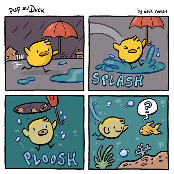 Duck skips in the rain. Duck sees a puddle and jumps in it. Duck sinks into the puddle into the ocean. Duck waves at a confused fish.
