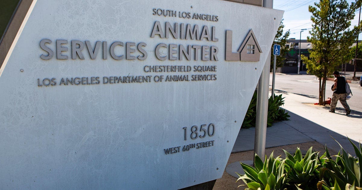 LA City councilmembers call for moratorium on new breeding permits - CBS Los Angeles LA City councilmembers call for moratorium on new breeding permits - CBS Los Angeles