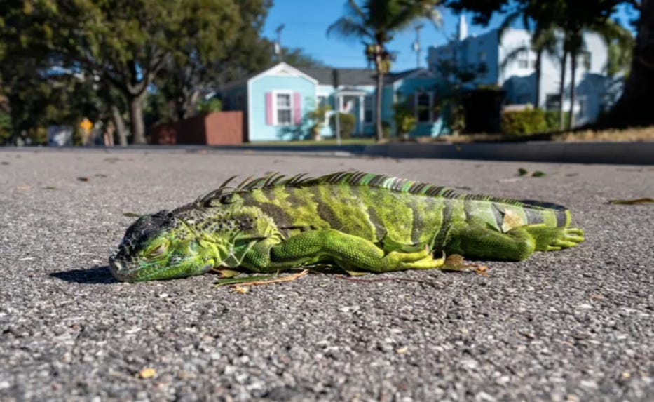 Image Credit: USA Today