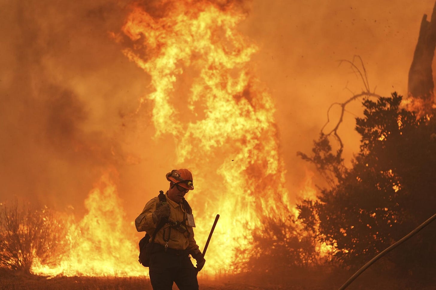 A firefighter battles the Canyon Fire in Hasley Canyon. A firefighter battles the Canyon Fire in Hasley Canyon.