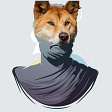 Socratic Dingo's avatar