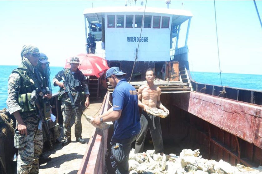 纪念日】中菲黄岩岛对峙事件四周年_特色频道_财新网 纪念日】中菲黄岩岛对峙事件四周年_特色频道_财新网